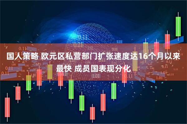 国人策略 欧元区私营部门扩张速度达16个月以来最快 成员国表现分化